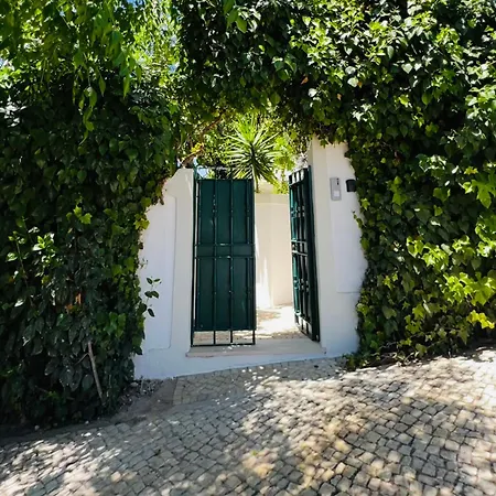 Apartman Cicas